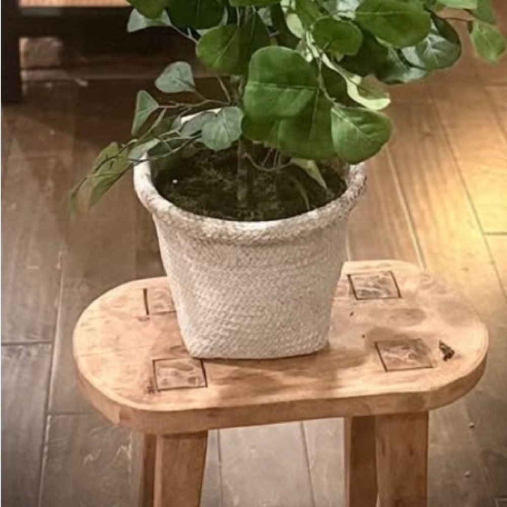 NWT Faux Ficus Tree - Threshold designed with Studio McGee - Picture 5 of 12